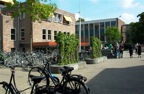 scholen in den haag